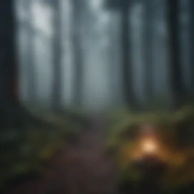 A captivating scene from a mystery game showcasing a dark, foggy forest.