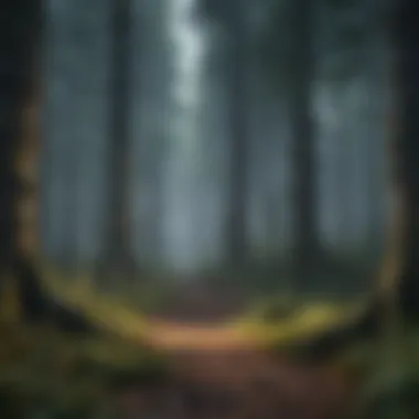 Enigmatic Forest Scene