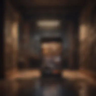 Revolution of Digital Puzzles in Mobile Escape Rooms Evolution of Digital Puzzles in Mobile Escape Rooms