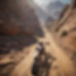 A captivating screenshot of a popular freeride game interface showcasing dynamic gameplay.