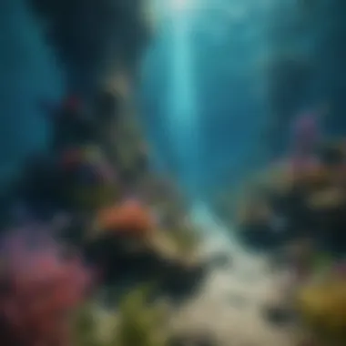 Vibrant Underwater World Theme Roblox wallpaper highlighting vibrant underwater world