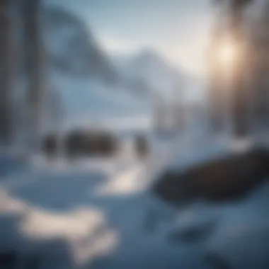 Survival Game Arctic Wilderness