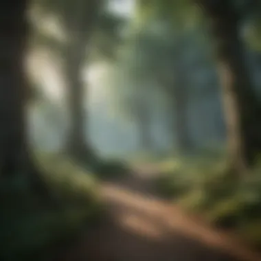 Magical forest setting in an enchanting iOS graphic game