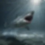 Majestic Great White Shark