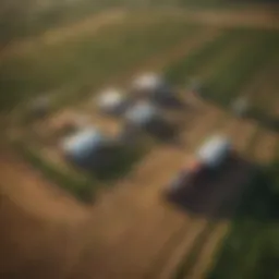 Aerial view of a diversified farm showcasing various crops and livestock.